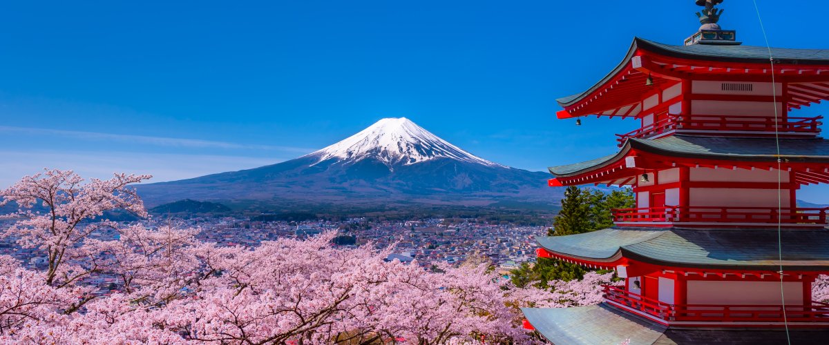 富士吉田第8回新倉山浅間公園桜まつり(まちぐるみキャペーンに参加します！)